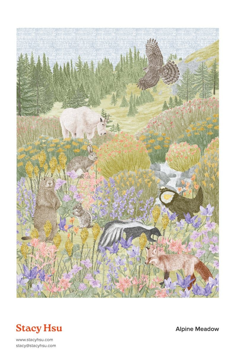 Alpine Meadow