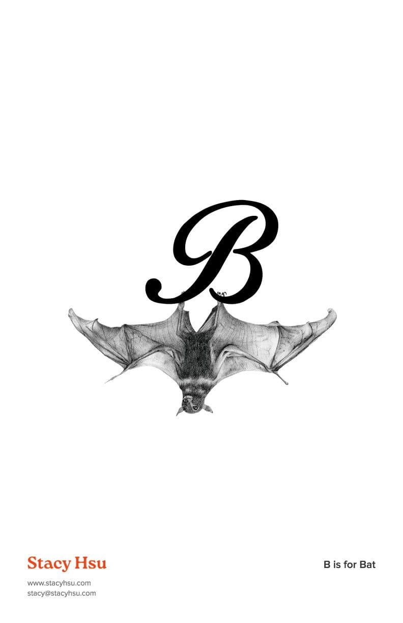 B is for Bat