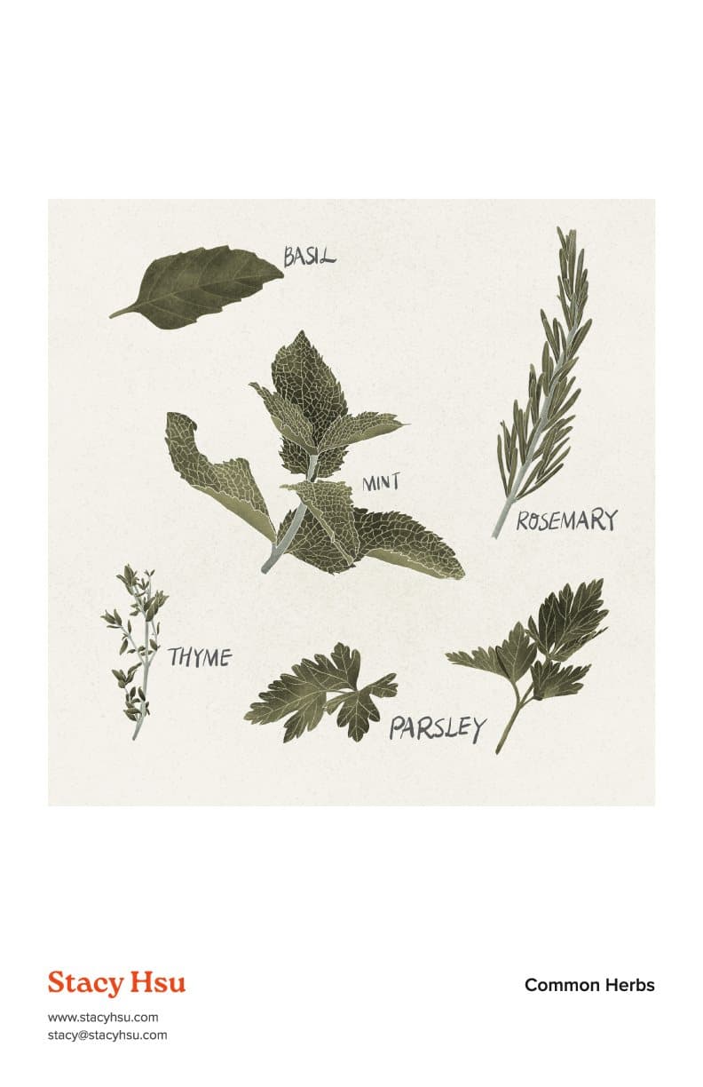 Common Herbs
