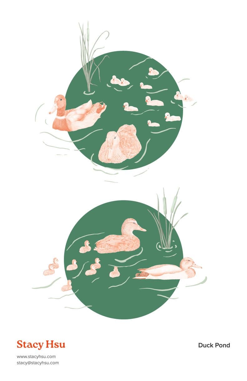 Duck Pond