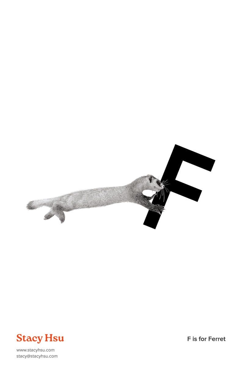 F is for Ferret