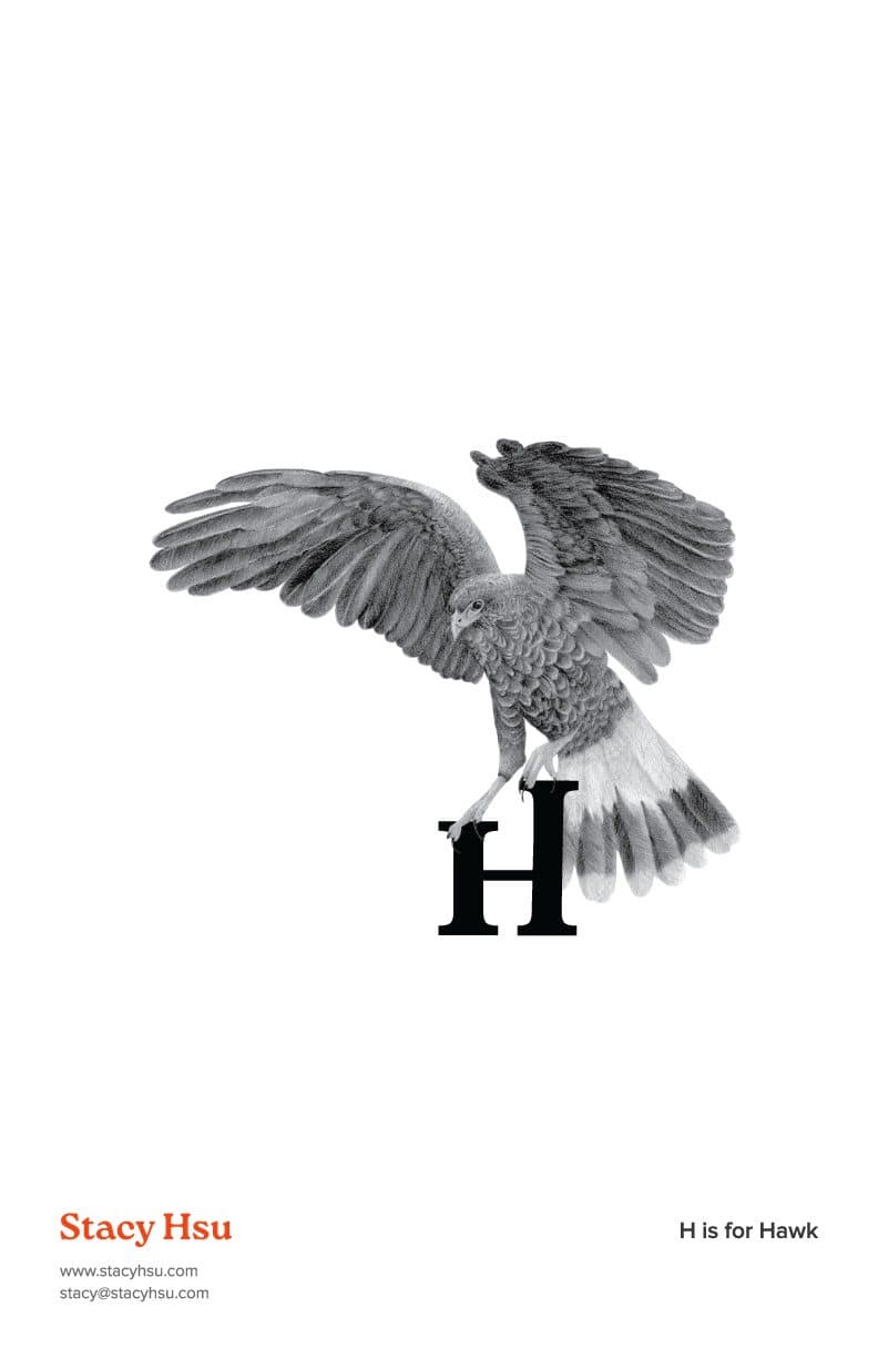 H is for Hawk