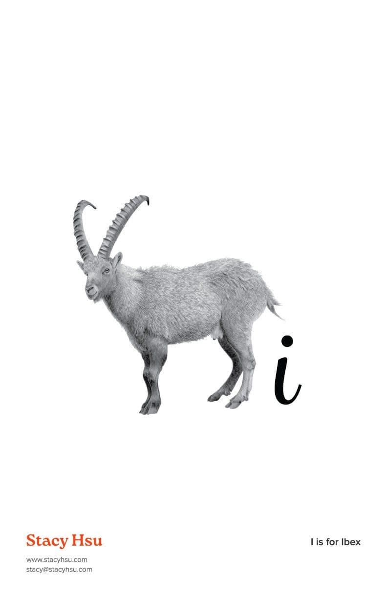 I is for Ibex