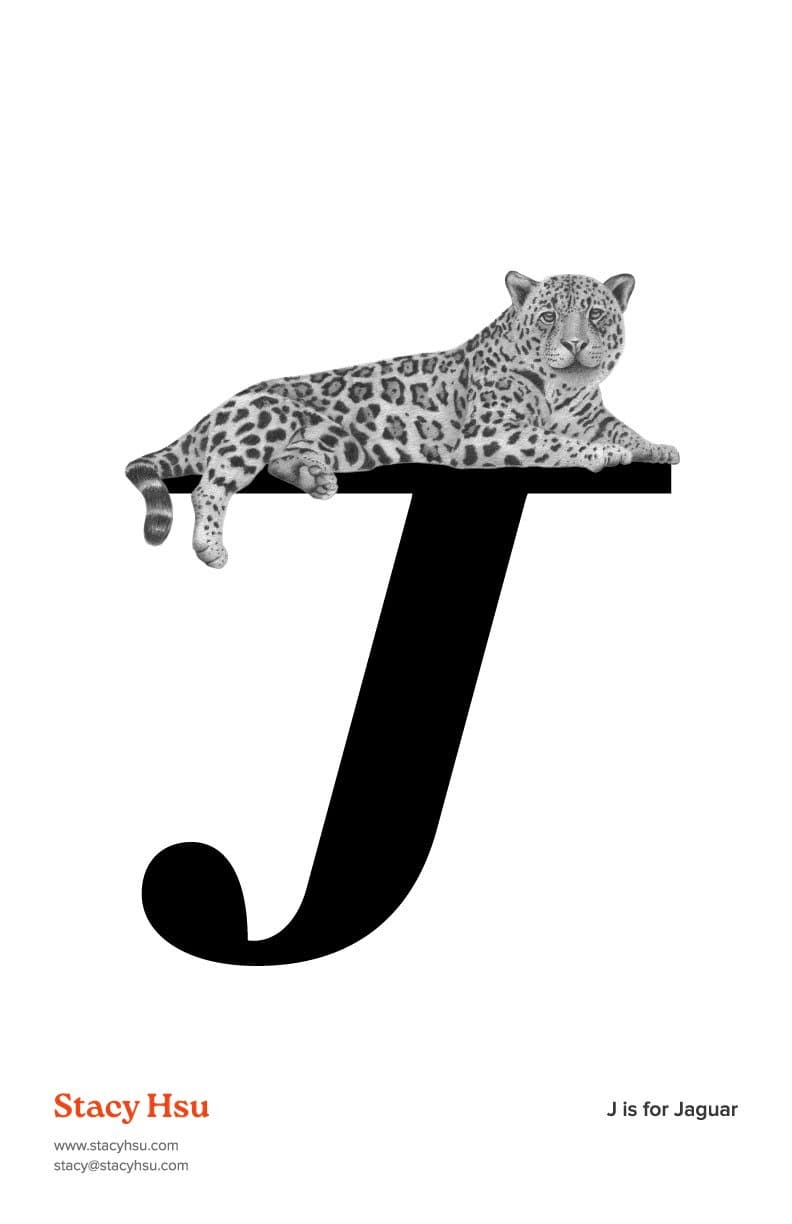 J is for Jaguar