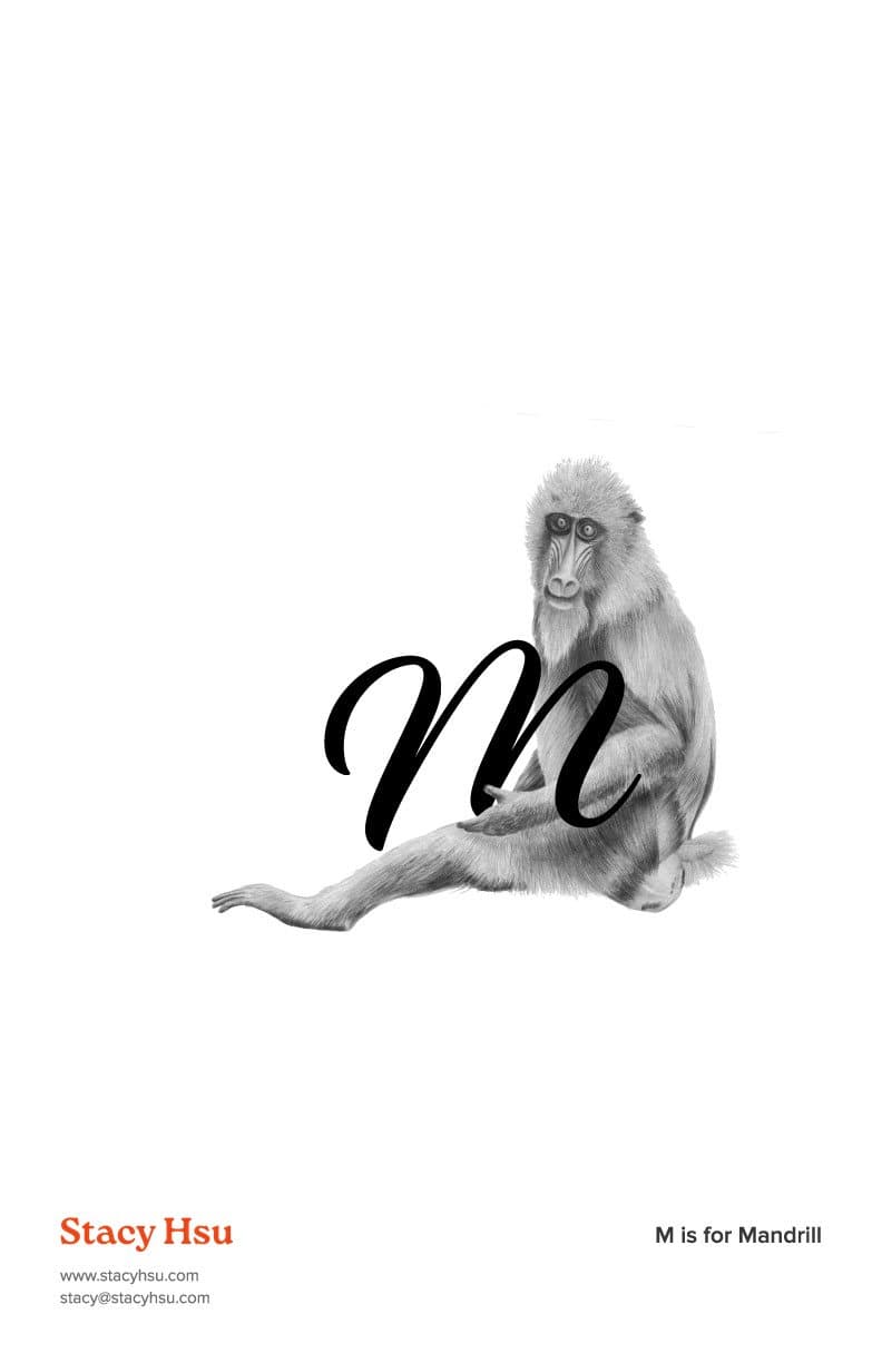M is for Mandrill