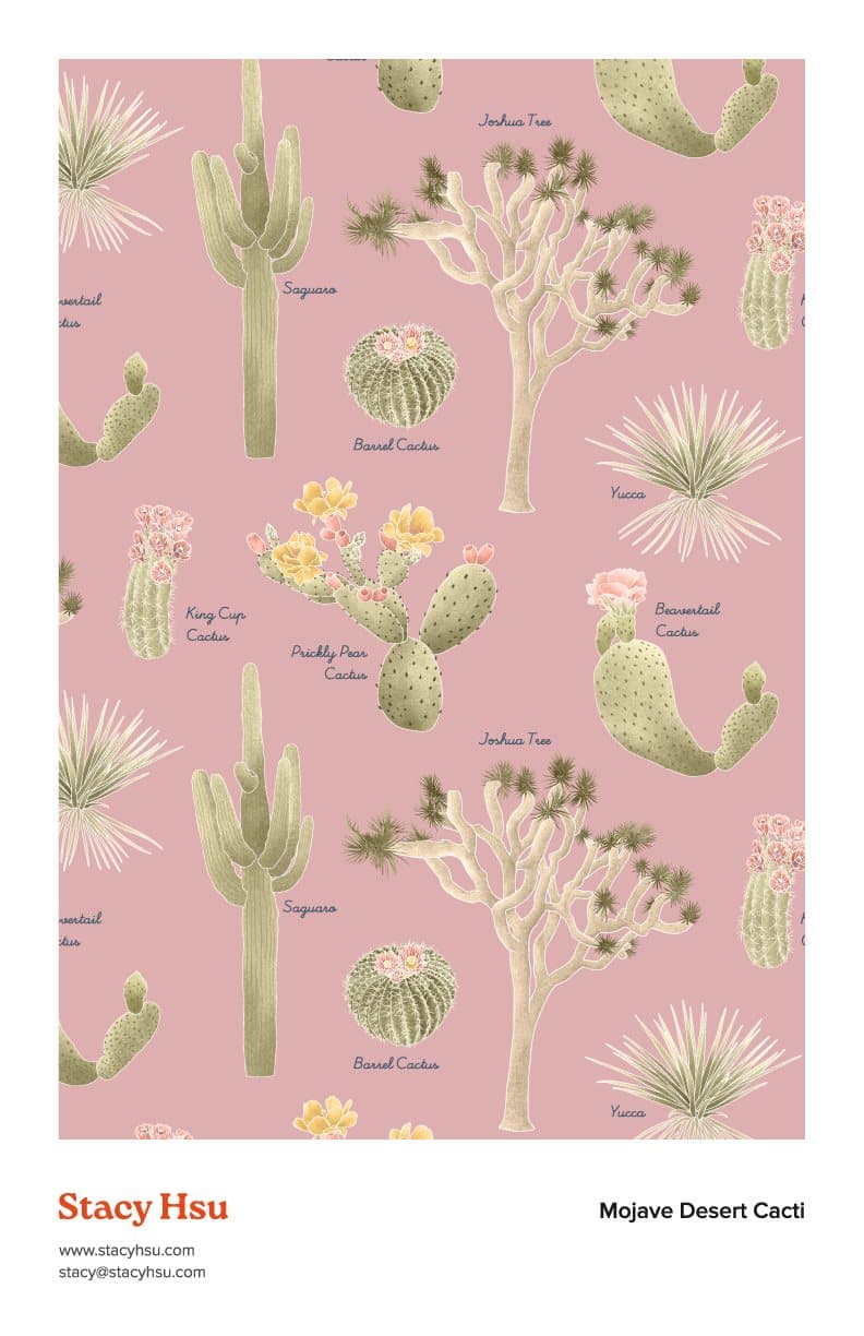 Mojave Desert Cacti