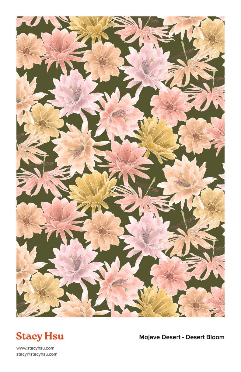 Mojave Desert - Desert Bloom