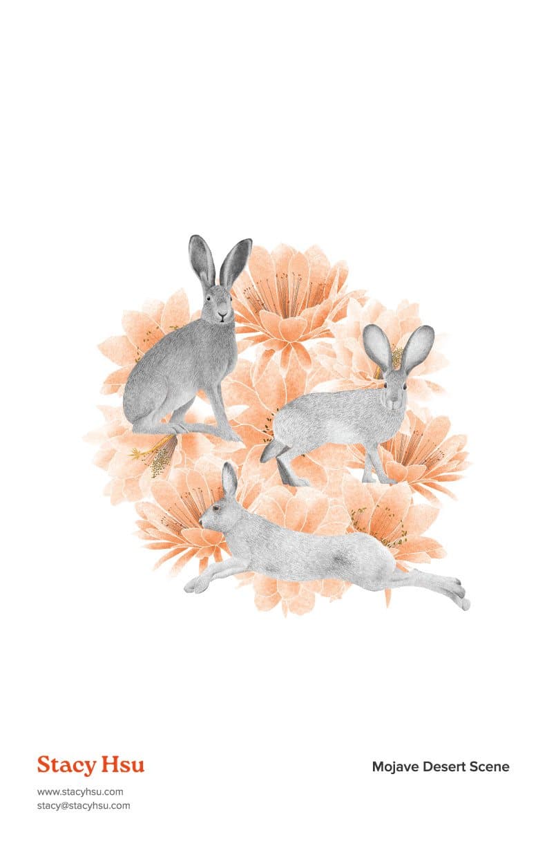 Mojave Desert Scene - Jackrabbits