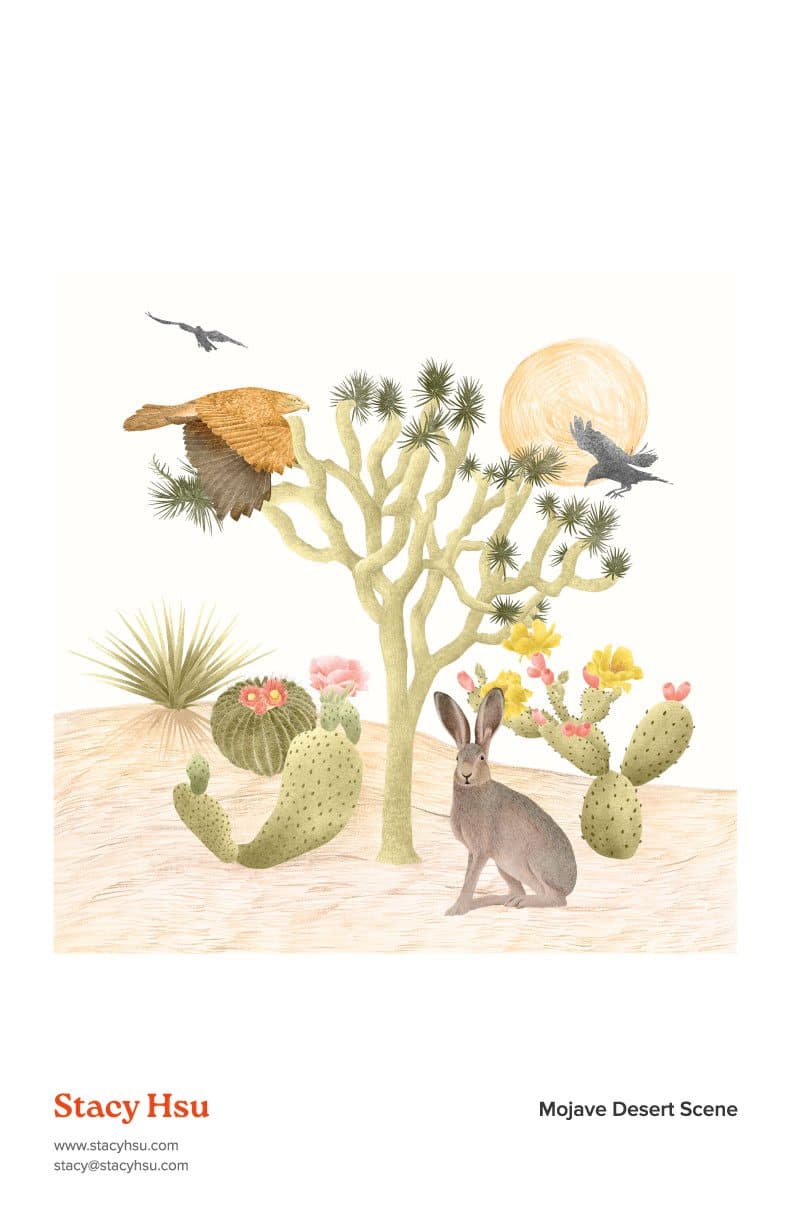 Mojave Desert Scene - Joshua Tree