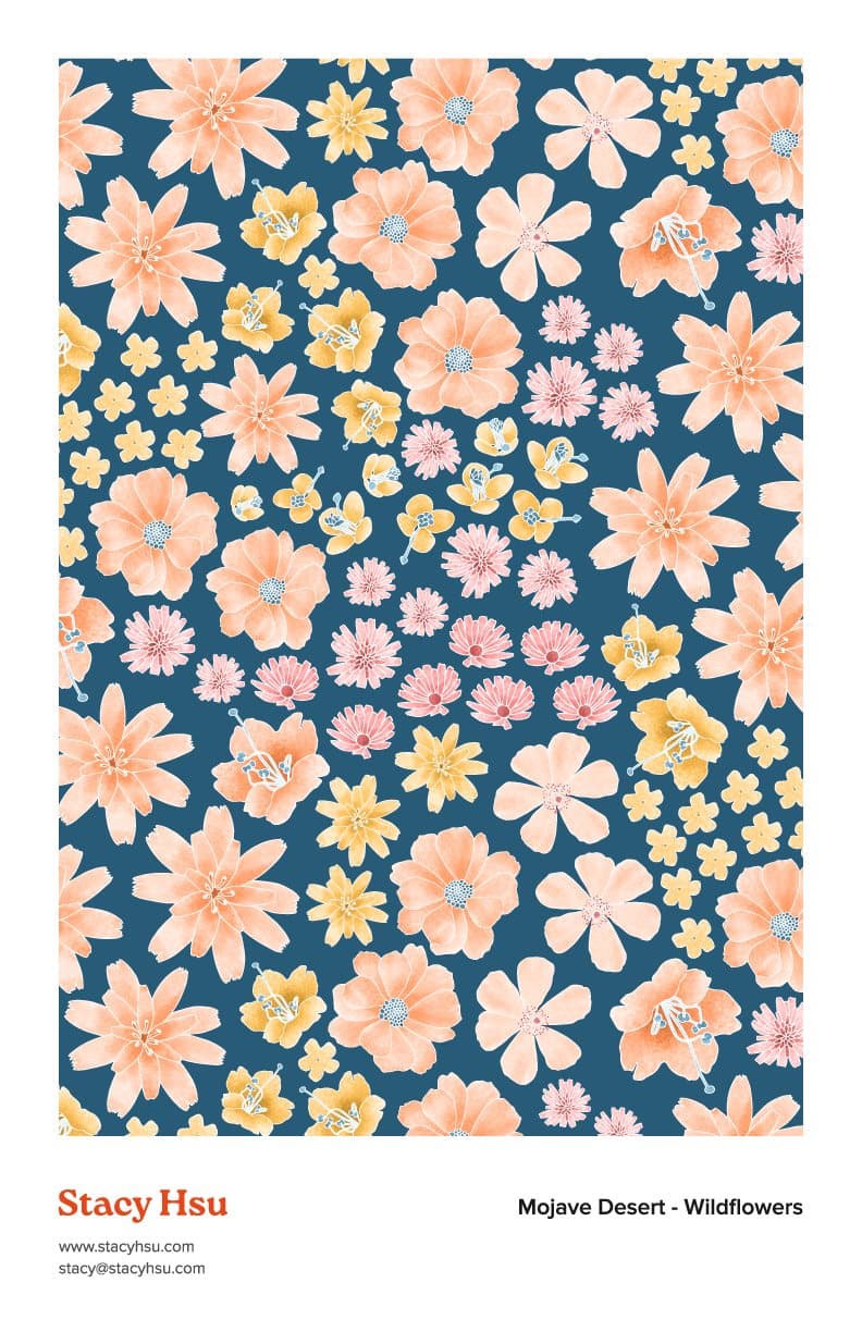 Mojave Desert - Wildflowers