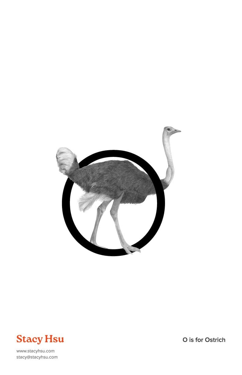 O is for Ostrich