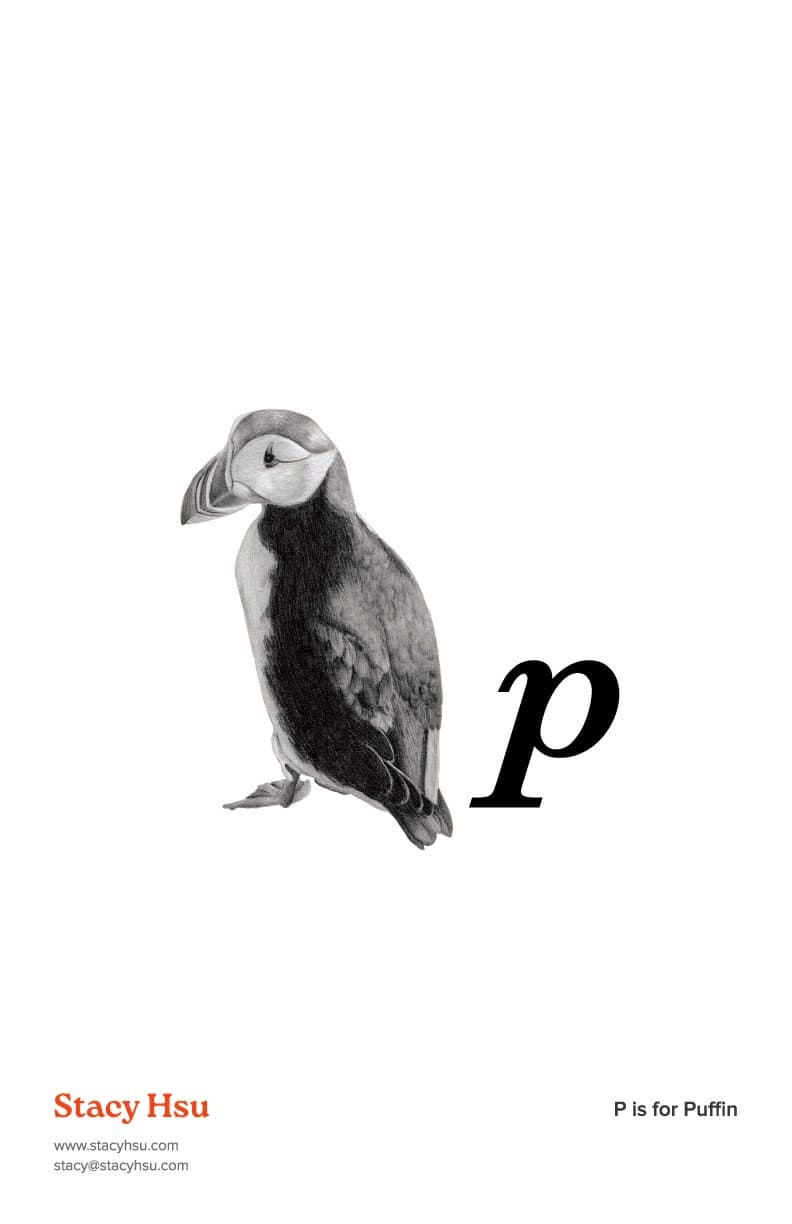 P is for Puffin