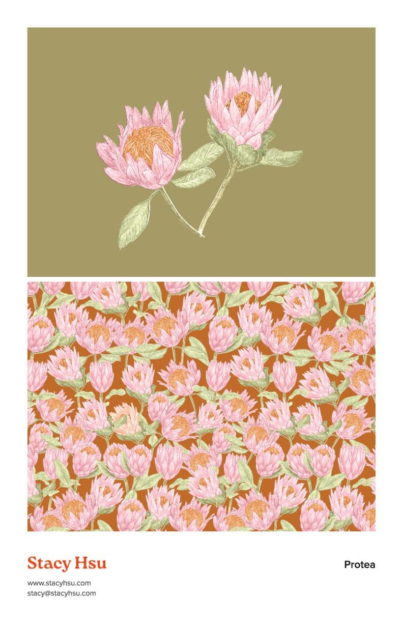 Protea