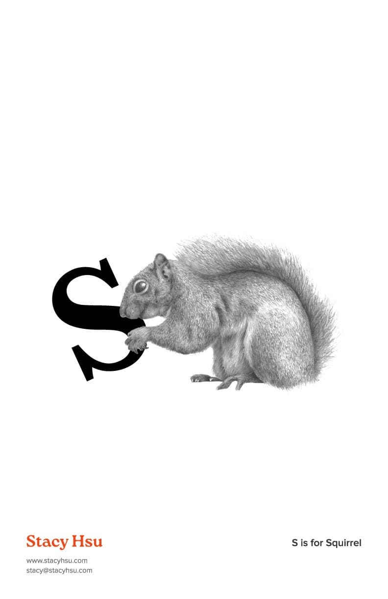 S is for Squirrel