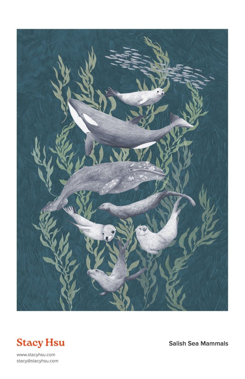Salish Sea Mammals - Under Water Scene