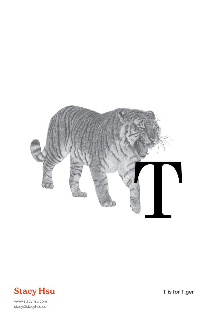T is for Tiger