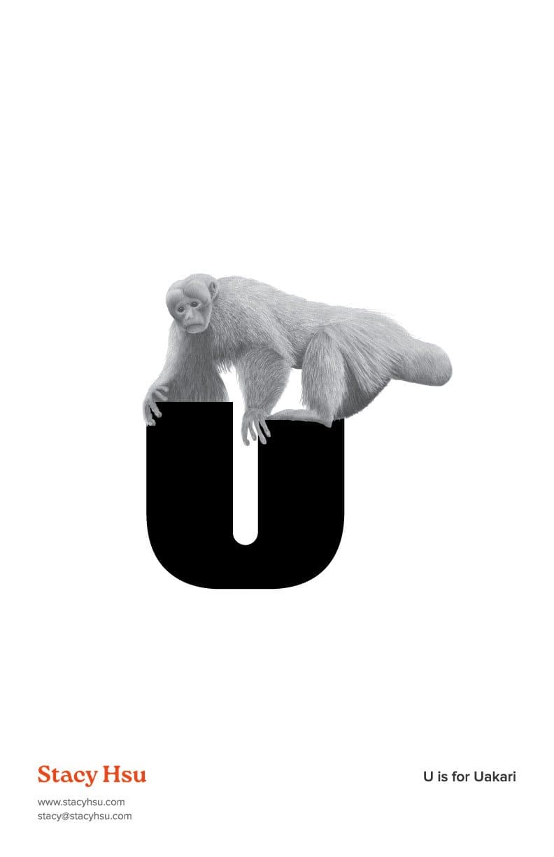 U is for Uakari