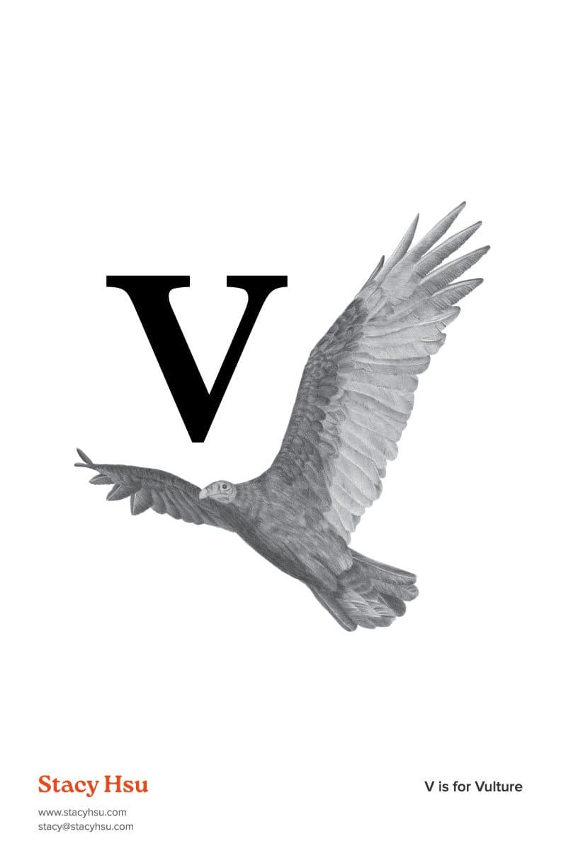 V is for Vulture