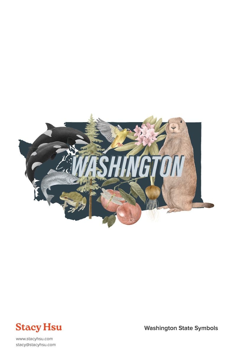 Washington State Symbols