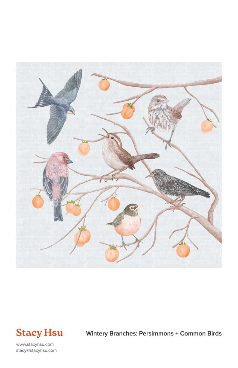 Wintery Branches: Persimmons & Common Birds