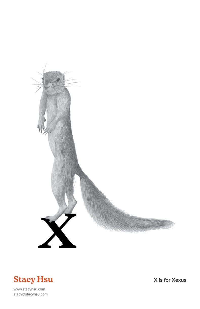 X is for Xerus