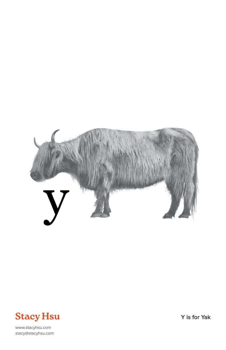 Y is for Yak