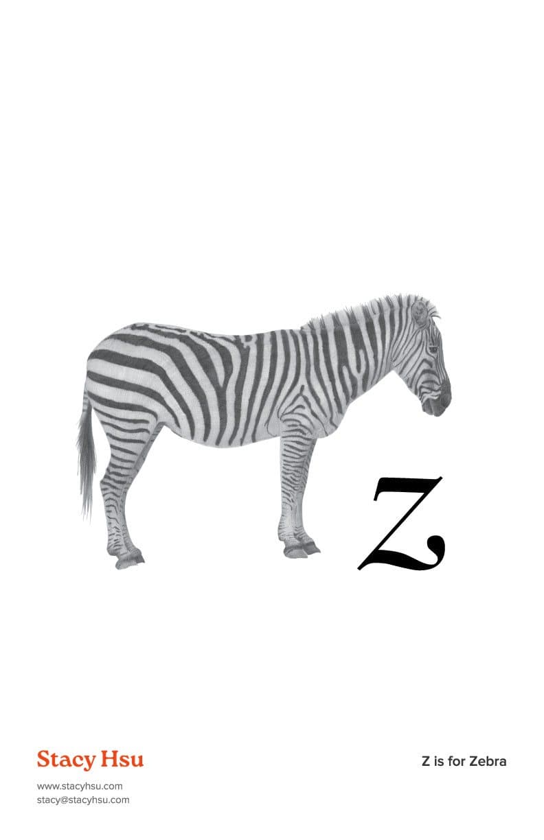 Z is for Zebra