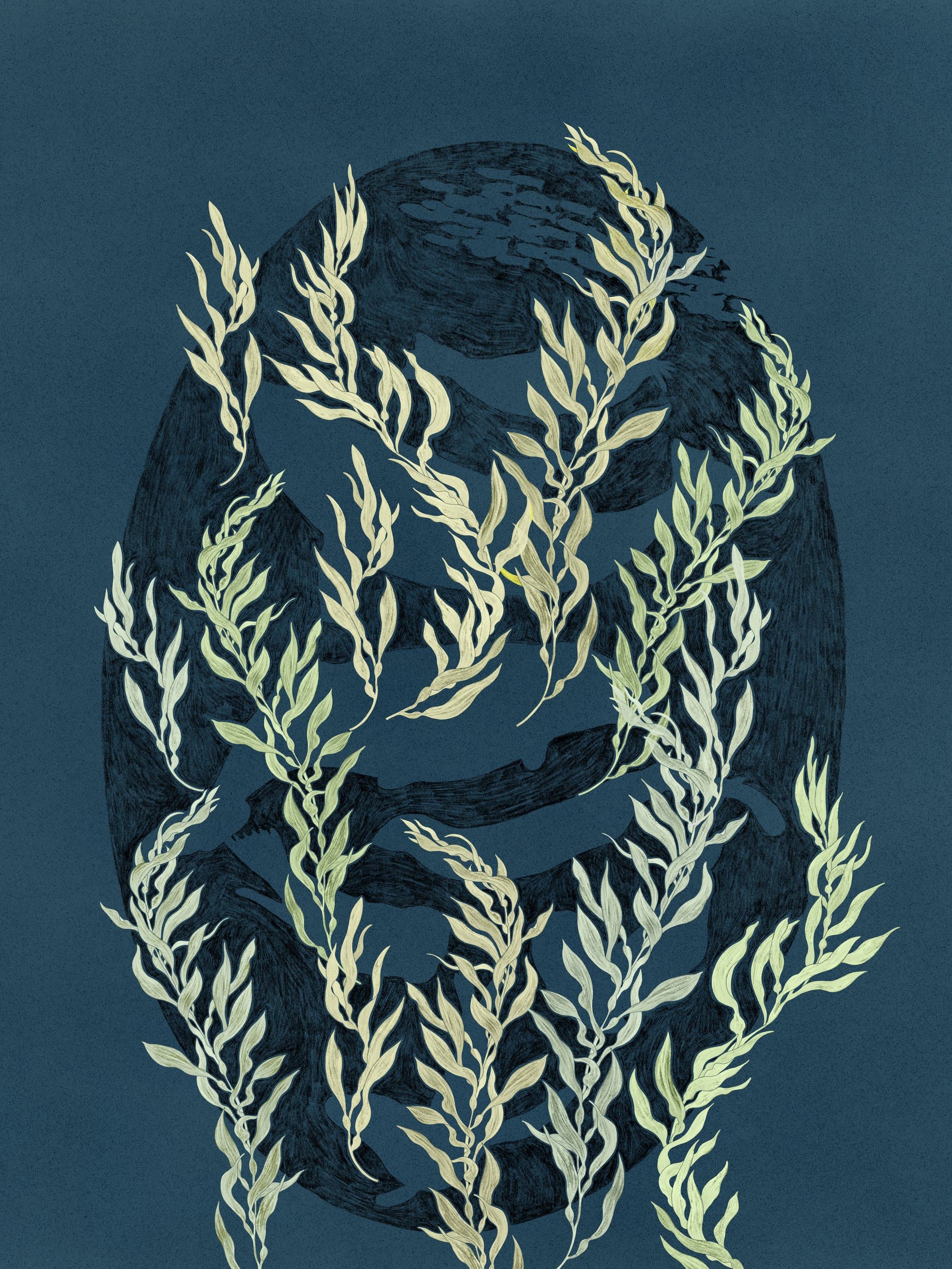 An illustrated underwater kelp forest scene