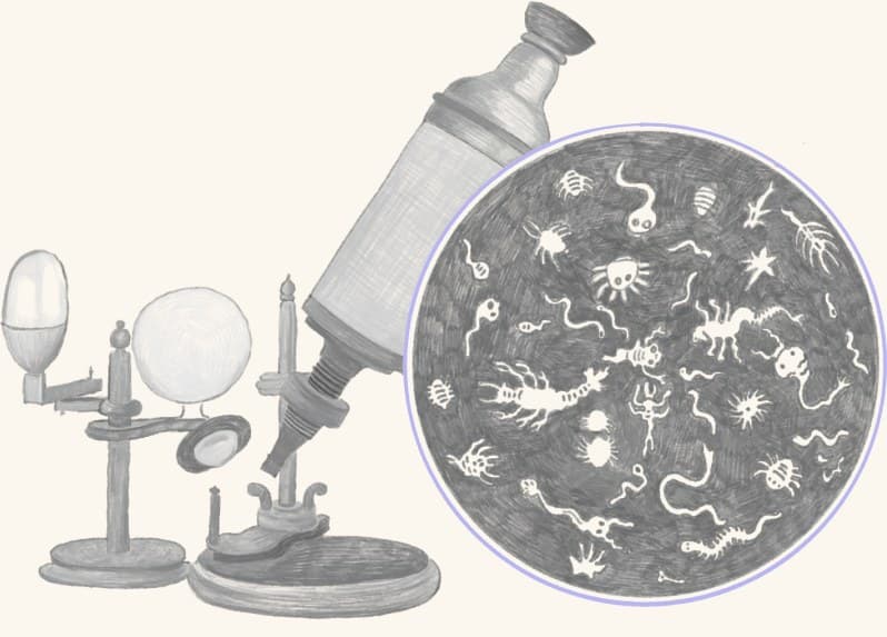 A microscope beside a petri dish of microorganisms