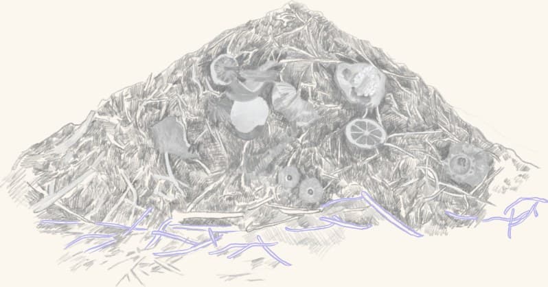 A mound of fermented vegetables