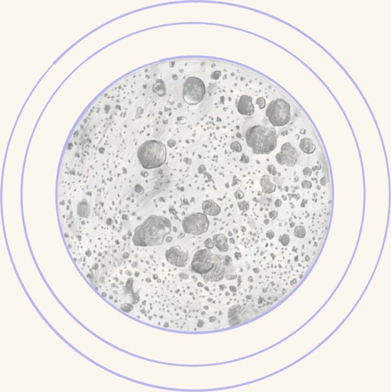 A bubbling sourdough starter