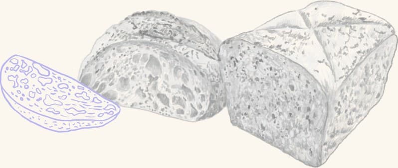 Slices of sourdough bread