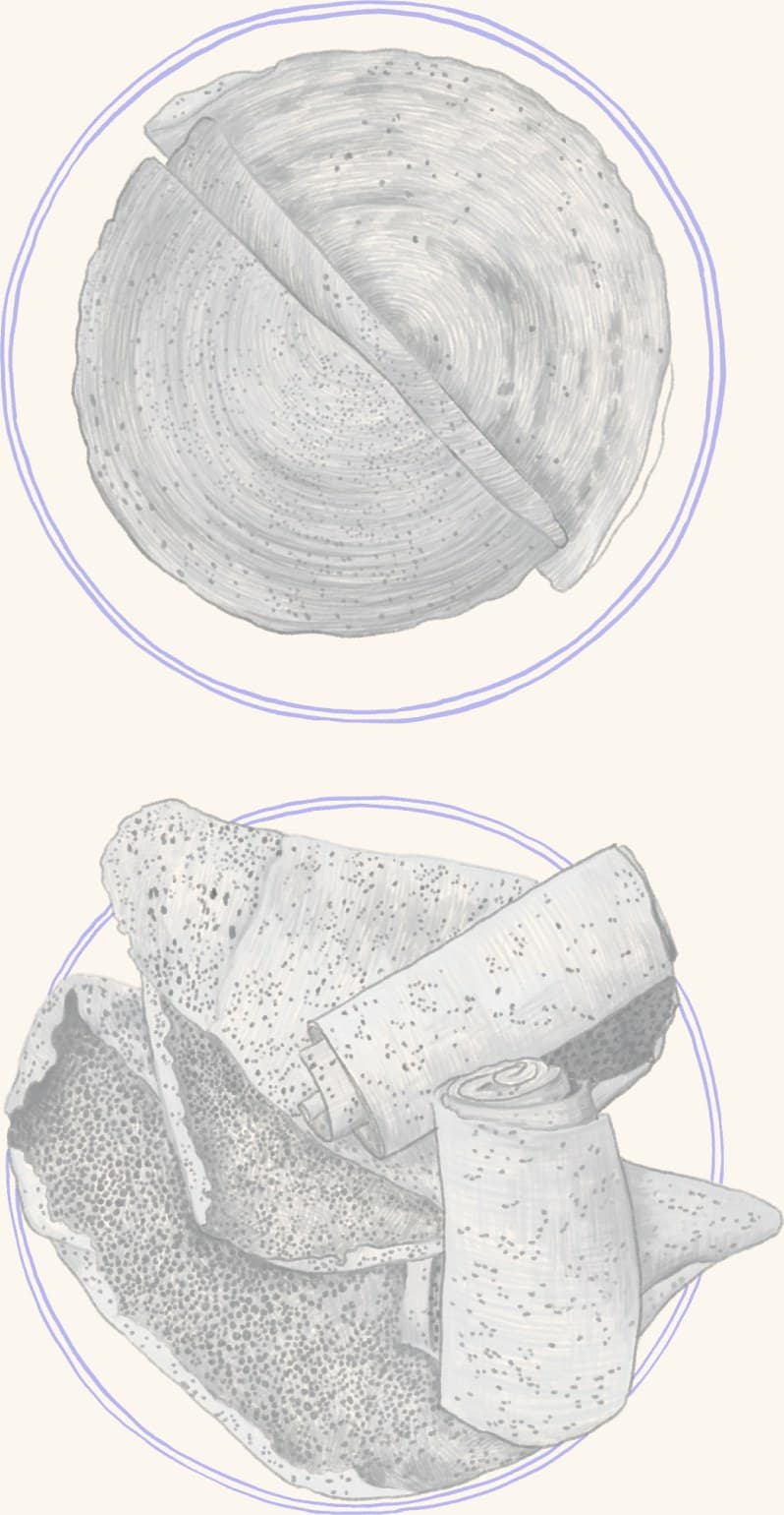 A round of cheese above sliced tempeh