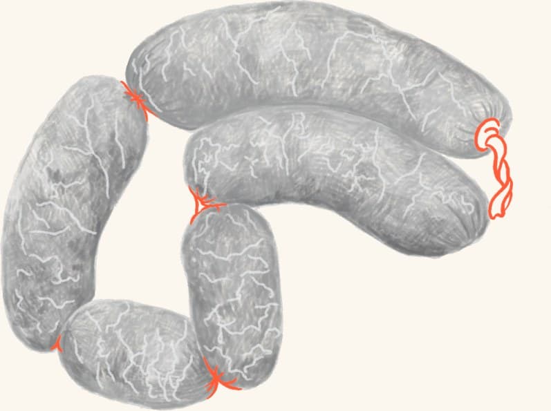 A coil of venison sausages