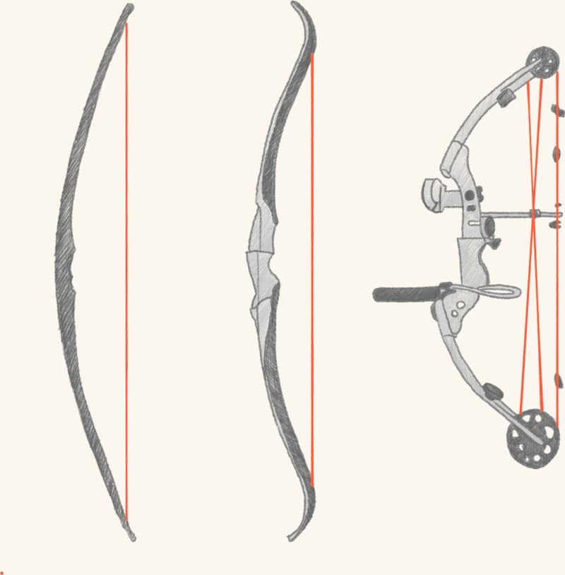 Three hunting bows — longbow, recurve, and compound