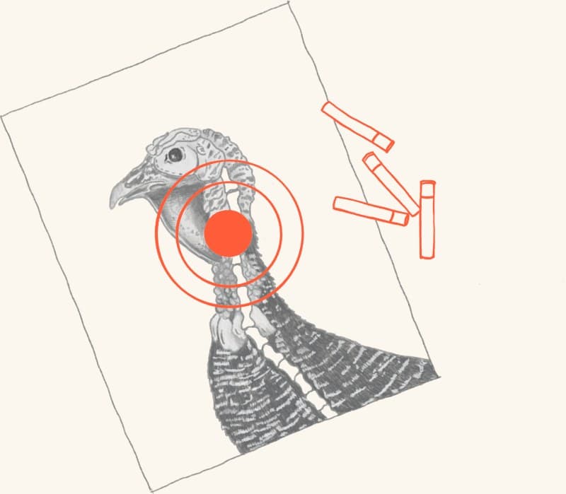 A diagram marking the vital target on a wild turkey