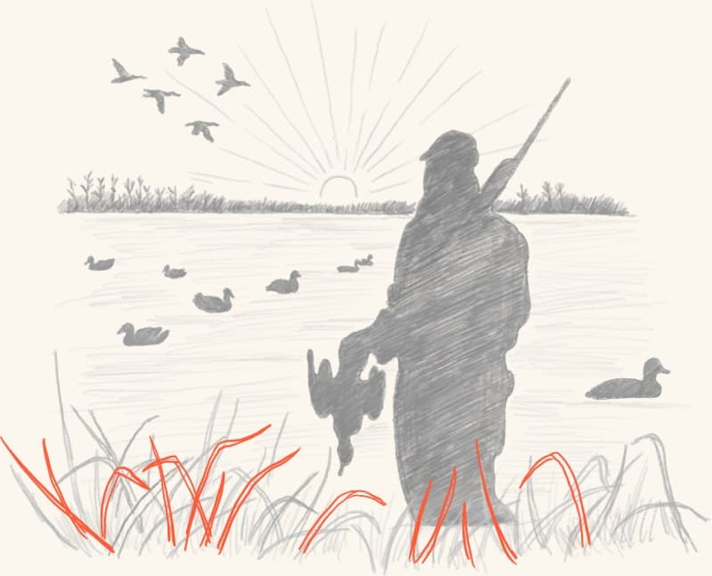 A waterfowl hunter at dawn among decoys
