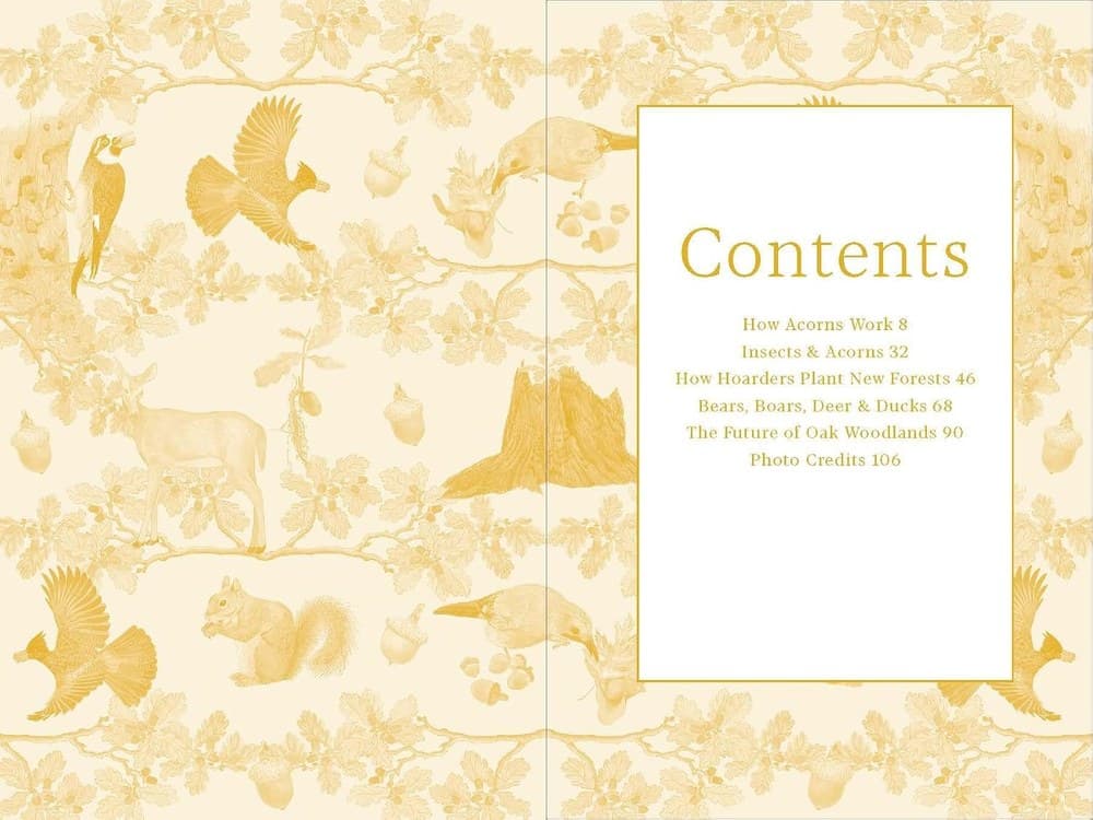 The book's contents page over a soft golden endpaper pattern