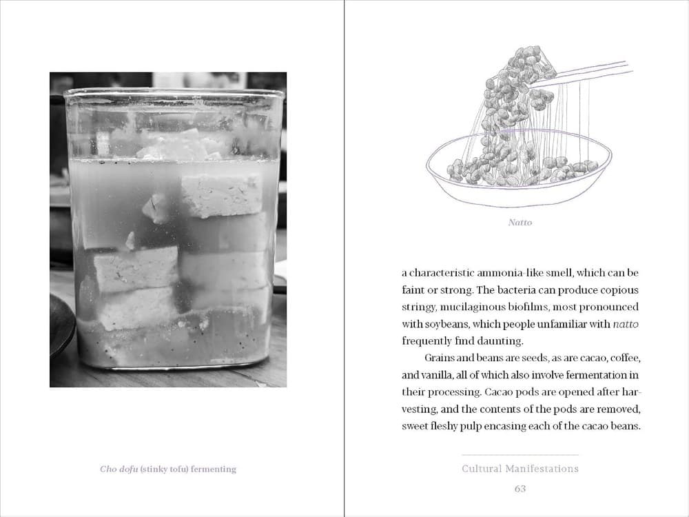 An interior spread with a photograph of a fermenting brine jar and body text
