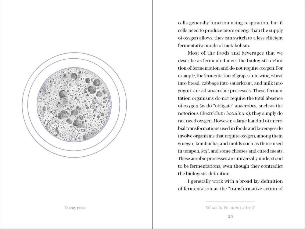An interior spread with a microscopy illustration of brewer's yeast facing body text