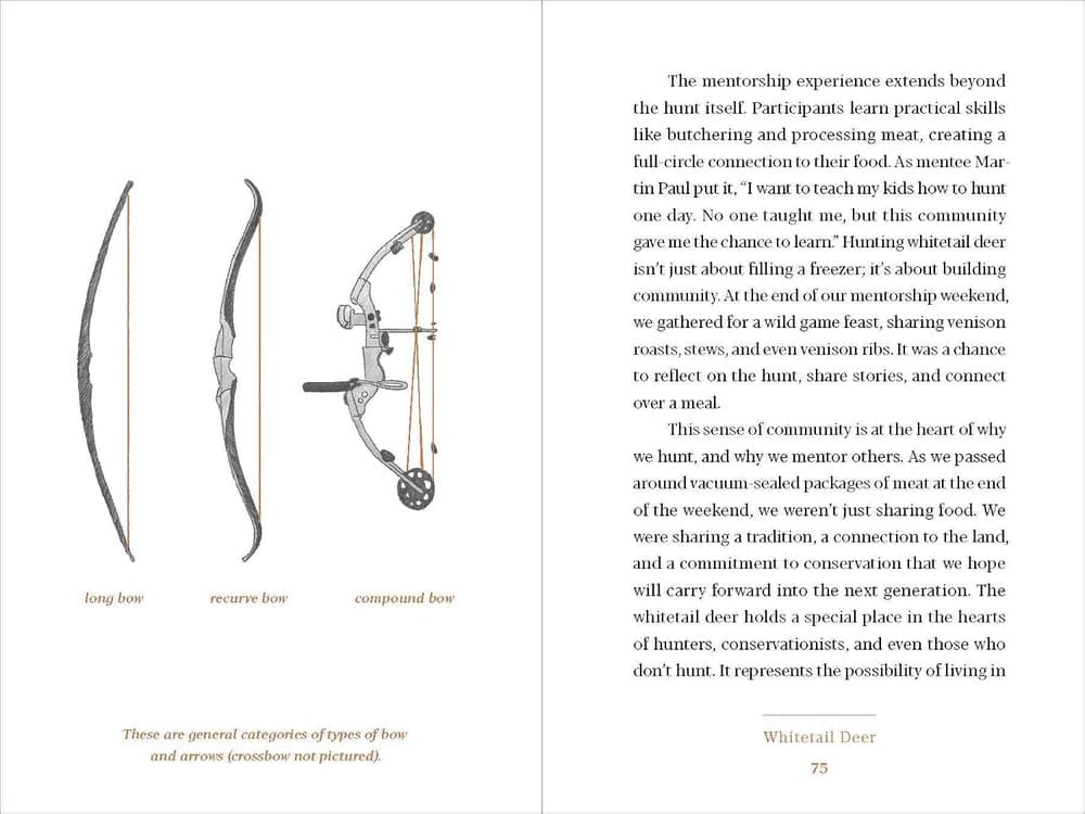 An interior spread illustrating longbow, recurve, and compound bows