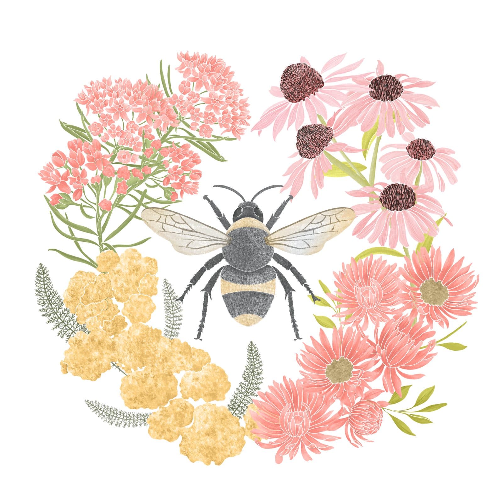 A watercolour bumble bee encircled by a wreath of pink asters, milkweed, coneflowers, and yellow yarrow