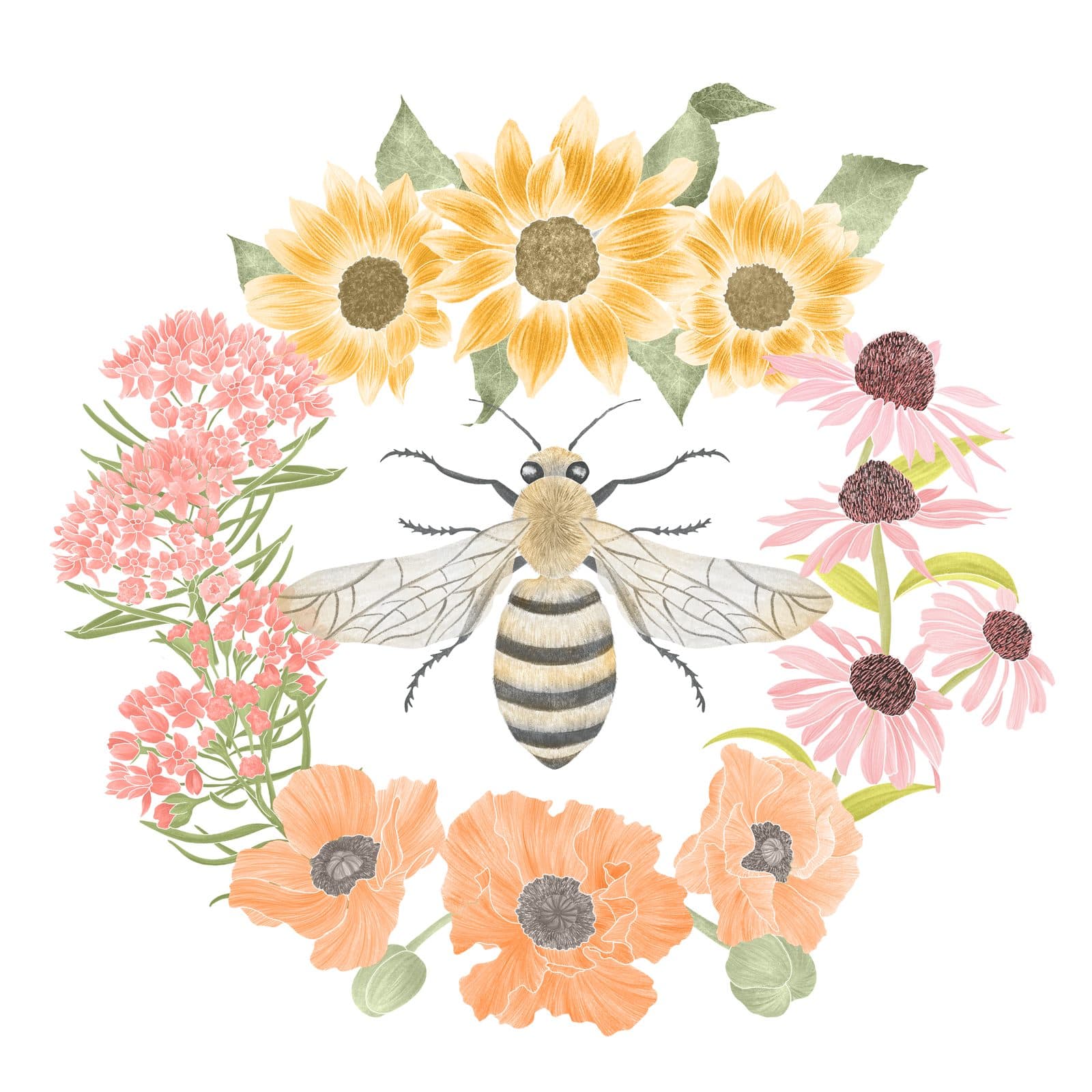 A watercolour honey bee encircled by sunflowers, peach poppies, milkweed, and coneflowers