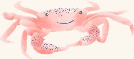 Asian Shore Crab — an illustrated motif from the Billion Oyster Project mural