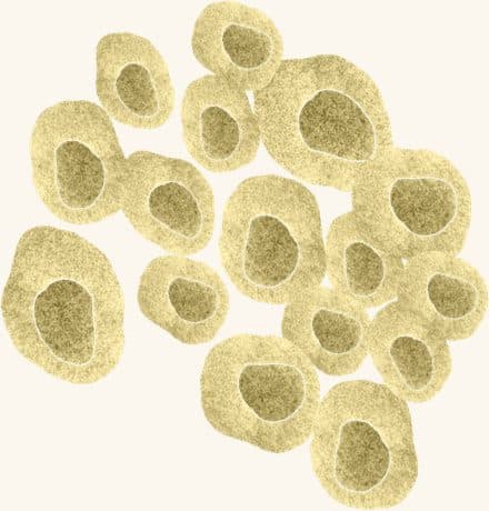 Barnacles — an illustrated motif from the Billion Oyster Project mural