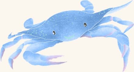 Blue Crab — an illustrated motif from the Billion Oyster Project mural