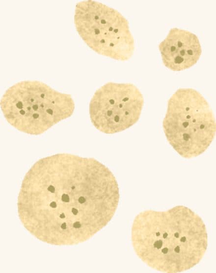 Boring Sponge — an illustrated motif from the Billion Oyster Project mural