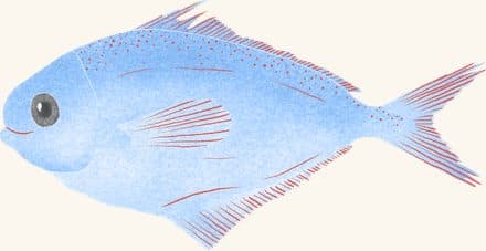 Butterfish — an illustrated motif from the Billion Oyster Project mural