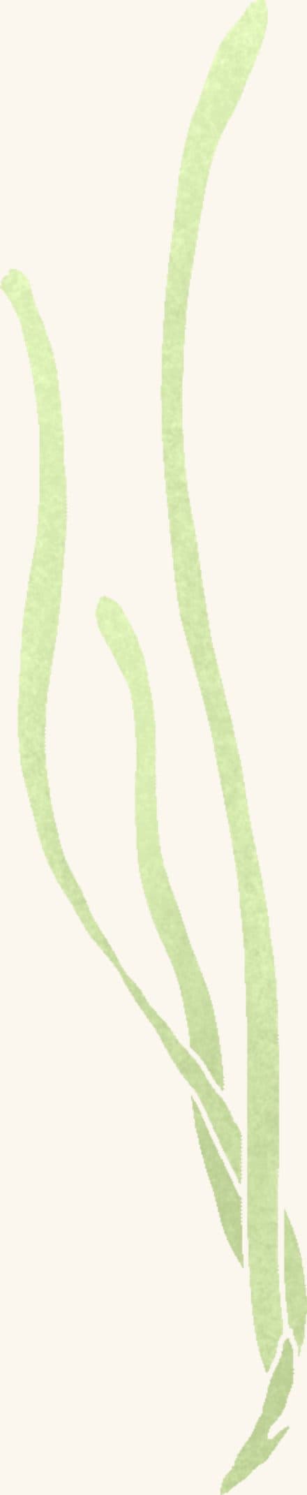 Eel Grass — an illustrated motif from the Billion Oyster Project mural