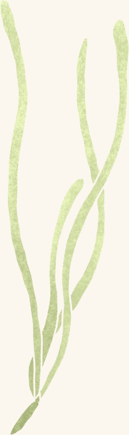 Eel Grass — an illustrated motif from the Billion Oyster Project mural
